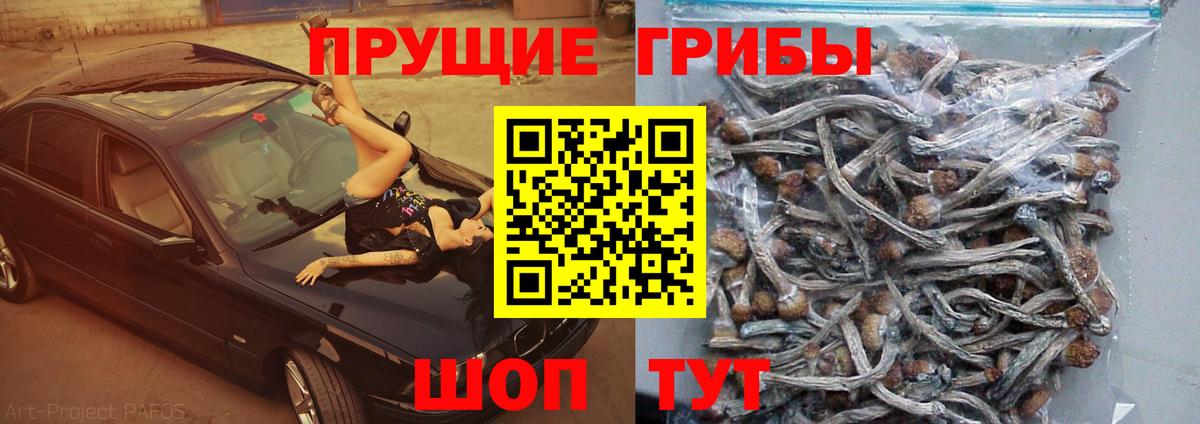 Галлюциногенные грибы мухоморы Стерлитамак